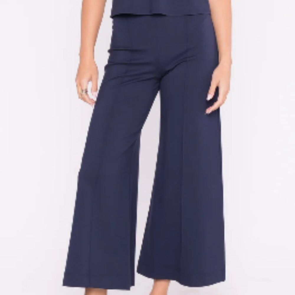 Ripley Rader Navy Ponte Cropped Pant Size